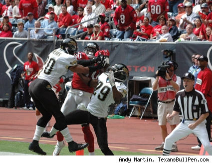 andre-johnson-td-catch-425