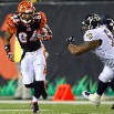 ravens_bengals_housh