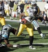 capt.nccb10612172007.steelers_panthers_football_nccb106