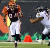 ravens_bengals_housh