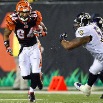 ravens_bengals_housh