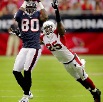 andre-johnson