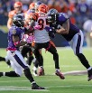 capt.78cad08d4a73424e96d70ee1b5c2cd16.bengals_ravens_football_baf115